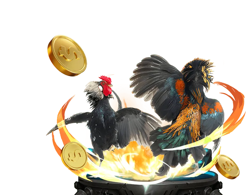 Hướng dẫn chi tiết các bước tham gia đá gà tại iwin456 trên điện thoại